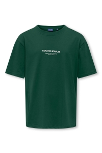 ONLY&SONS OSJCURATED RLX PRINT SS TEE VD pineneedle
