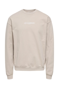ONLY&SONS ONSLES CLASSIQUES LOOSE CREWNECK N silver lining