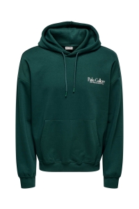 ONLY&SONS ONSGALLERY VTG HOODIE pine grove/gallery
