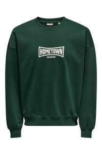 ONLY&SONS ONSTURNER VARSITY VTG CREW NECK SWE: pine grove/home town