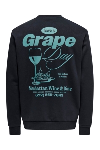 ONLY&SONS ONSALFRESCO REG CREW NECK black/grape