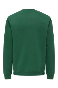 ONLY&SONS ONSCONNOR SIMPLE LIFE REG LS CREW S: trekking green/rockies