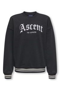 ONLY&SONS OSJCONNOR OVZ ART VTG LS CREW SWT jet black/ascent