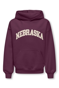 ONLY&SONS OSJGRAHAM RLX LS HOODIE SWT mauve wine/nebraska white