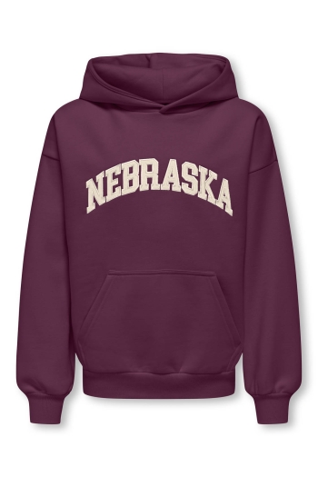 ONLY&SONS OSJGRAHAM RLX LS HOODIE SWT