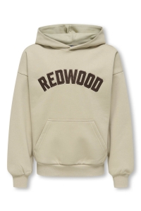 ONLY&SONS OSJGRAHAM RLX LS HOODIE SWT silver lining/redwood