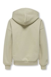 ONLY&SONS OSJGRAHAM RLX LS HOODIE SWT silver lining/redwood