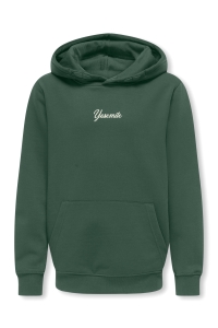 ONLY&SONS OSJHANS LIFE LS REG HOODIE SWT trekking green/antique white yos